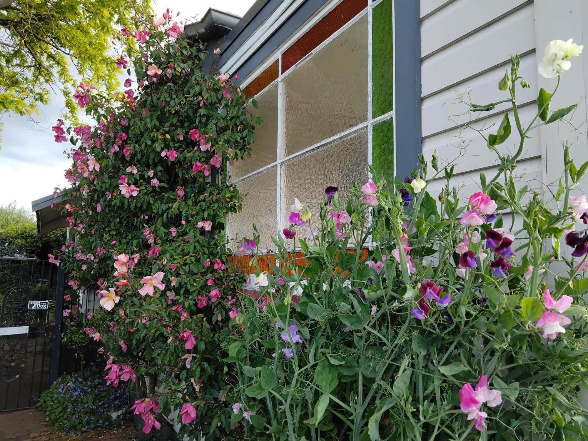 האבלוק נורת' Guthrie Cottage מראה חיצוני תמונה